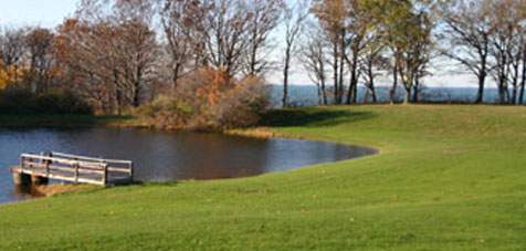 Lake with trees